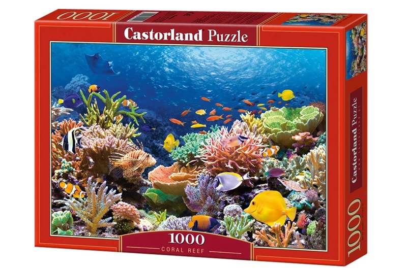 Coral Reef
